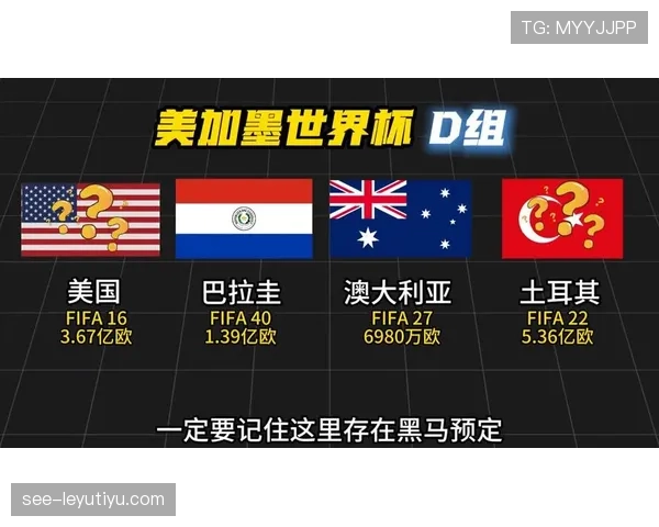 世界杯D组黑马球队世界排名分析